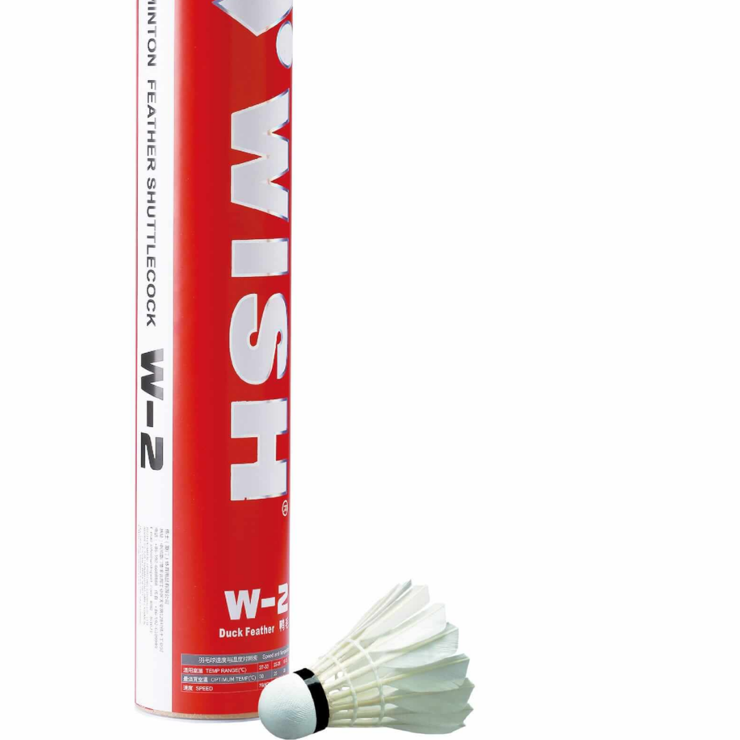 Wish W-2